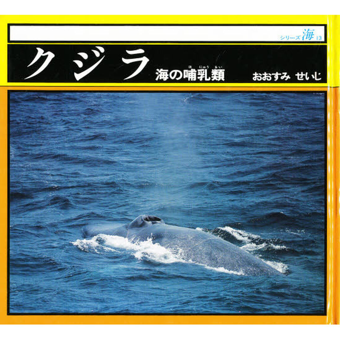 クジラ　海の哺乳類