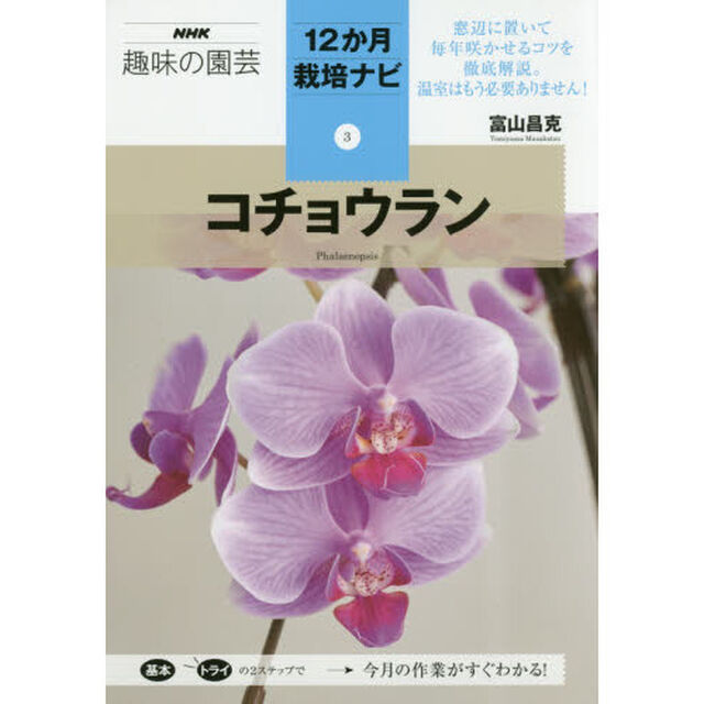 コチョウラン