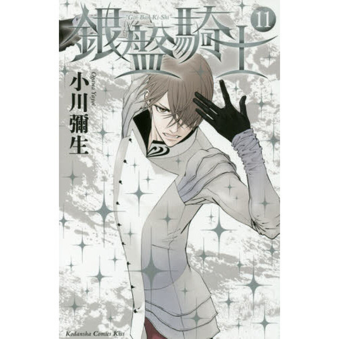 銀盤騎士　１１