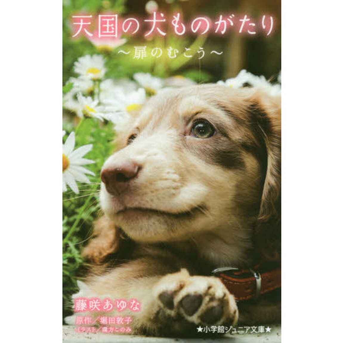 天国の犬ものがたり　〔１０〕「扉のむこう」