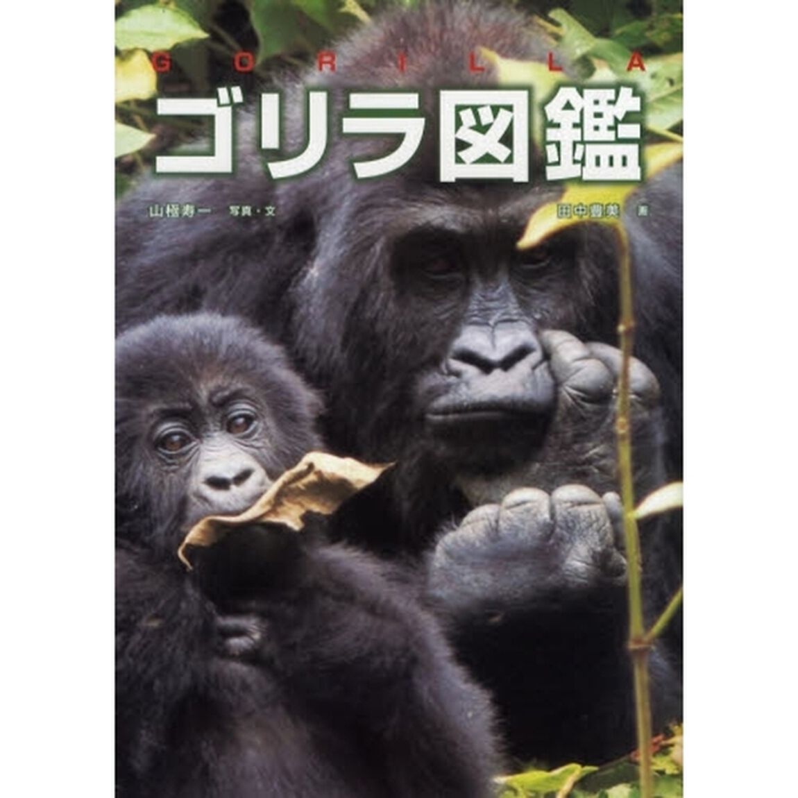 ゴリラ図鑑