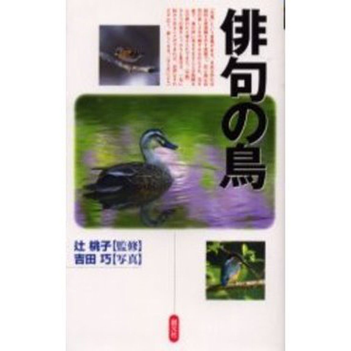 俳句の鳥