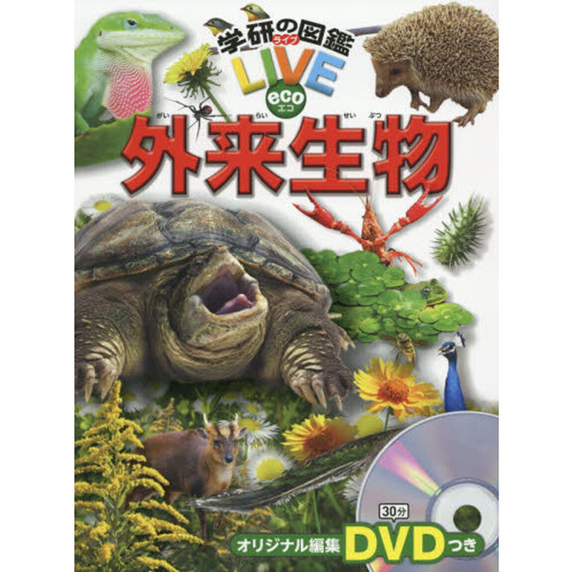 学研の図鑑ＬＩＶＥ　ｅｃｏ　外来生物
