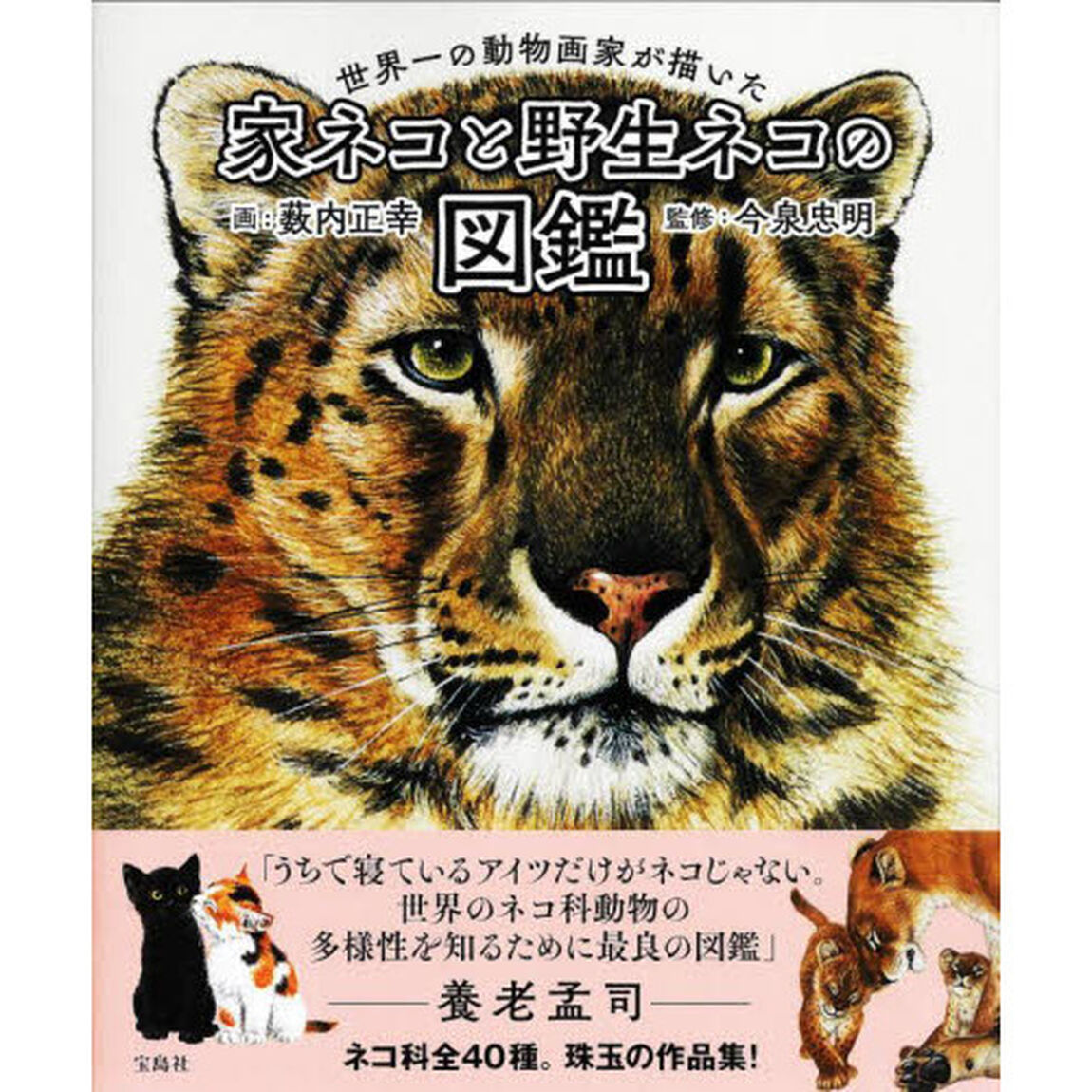 世界一の動物画家が描いた家ネコと野生ネコの図鑑