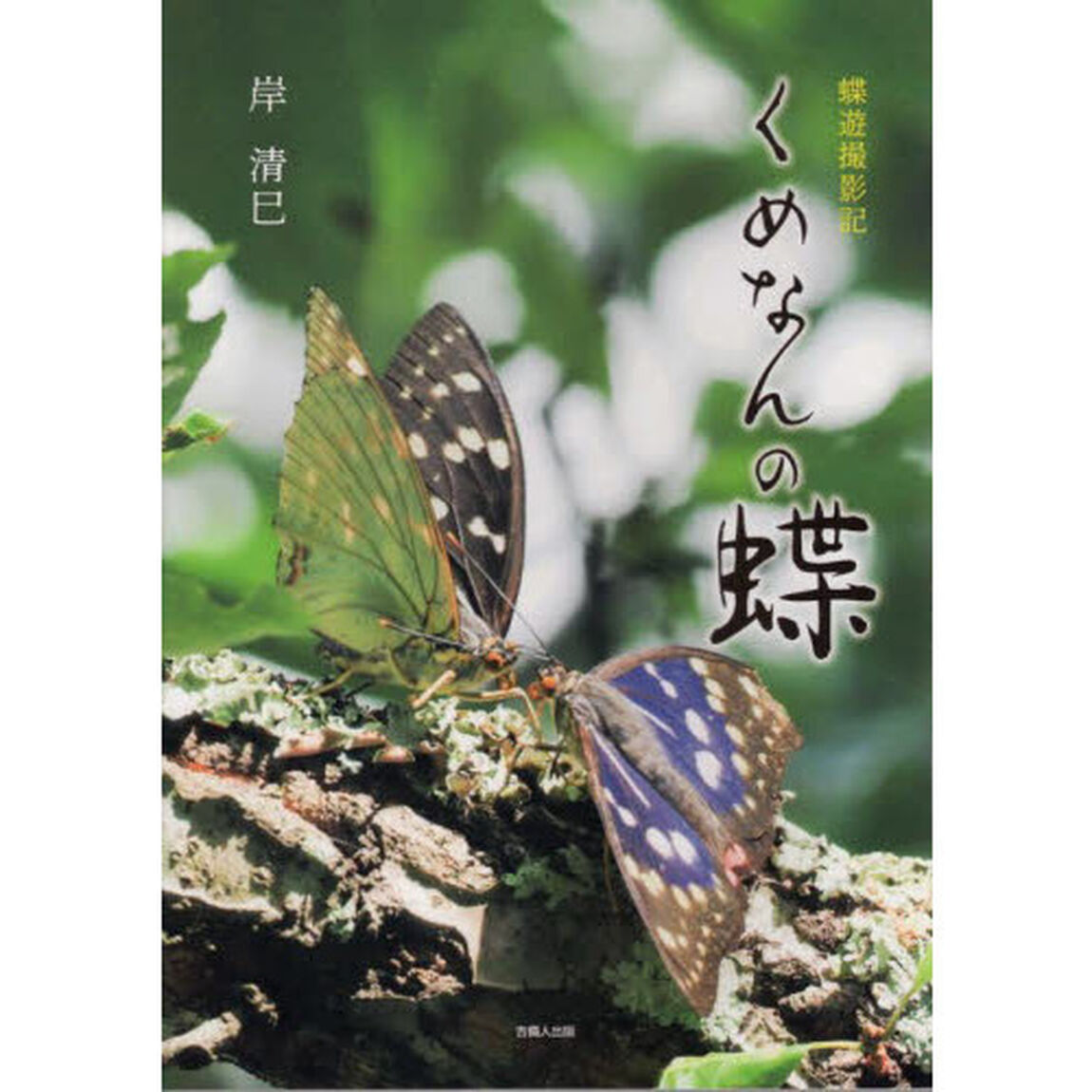 くめなんの蝶　蝶遊撮影記