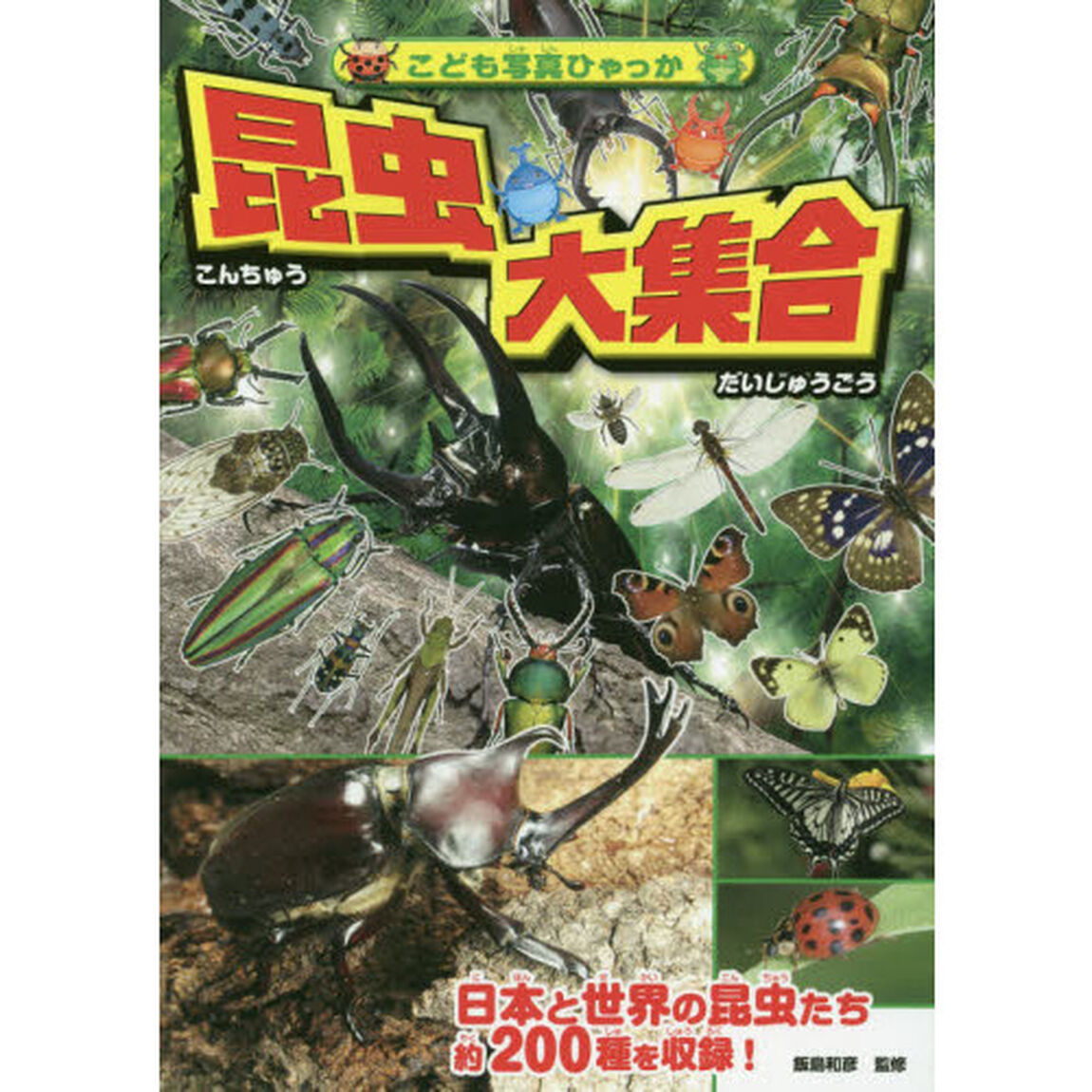 昆虫大集合