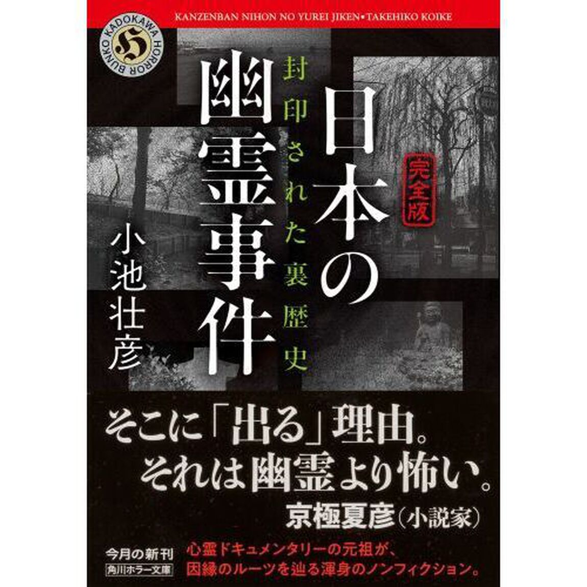 日本の幽霊事件　完全版　封印された裏歴史