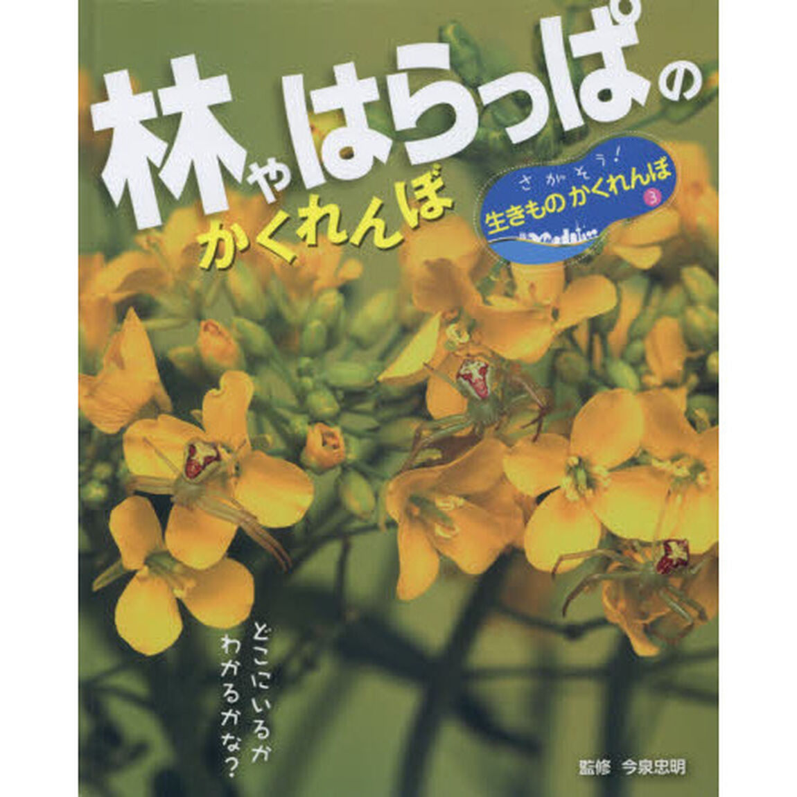 さがそう！生きものかくれんぼ　３「林やはらっぱのかくれんぼ」