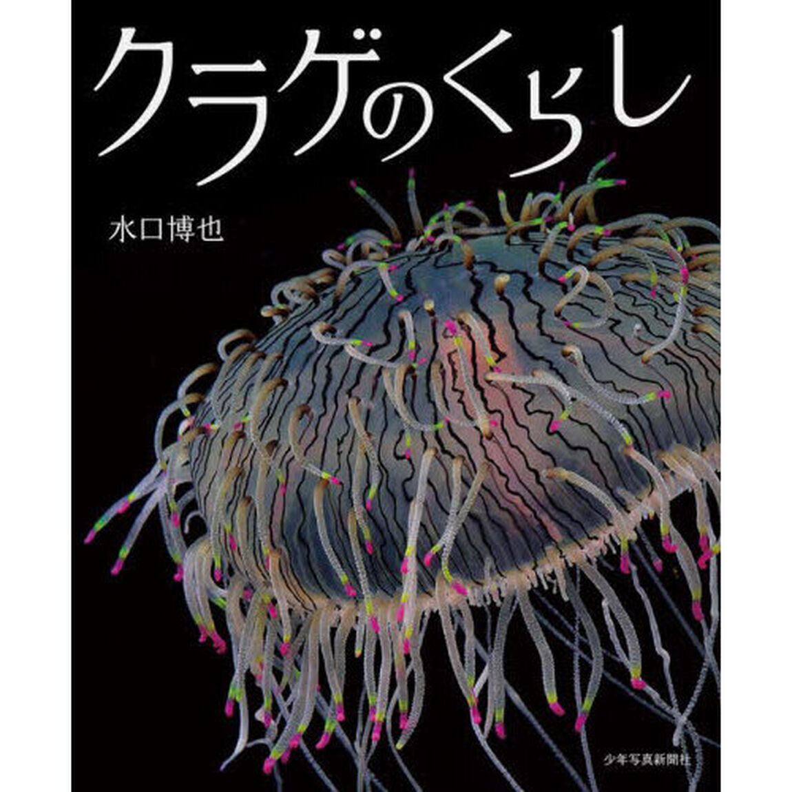クラゲのくらし