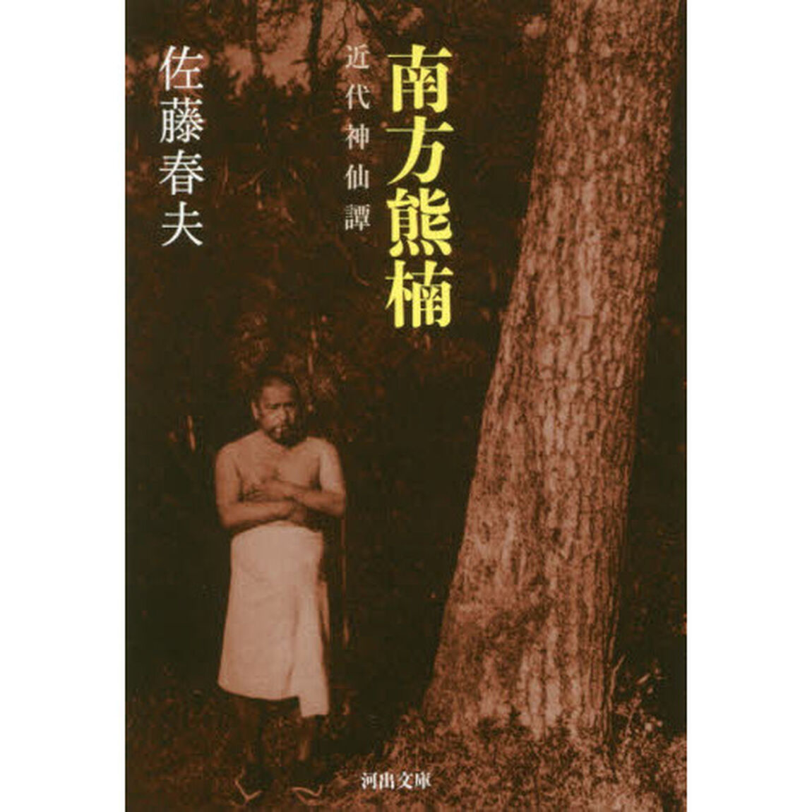 南方熊楠　近代神仙譚
