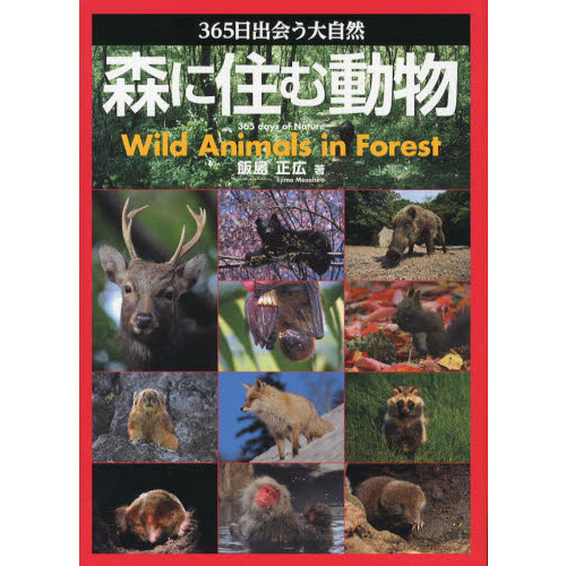 森に住む動物