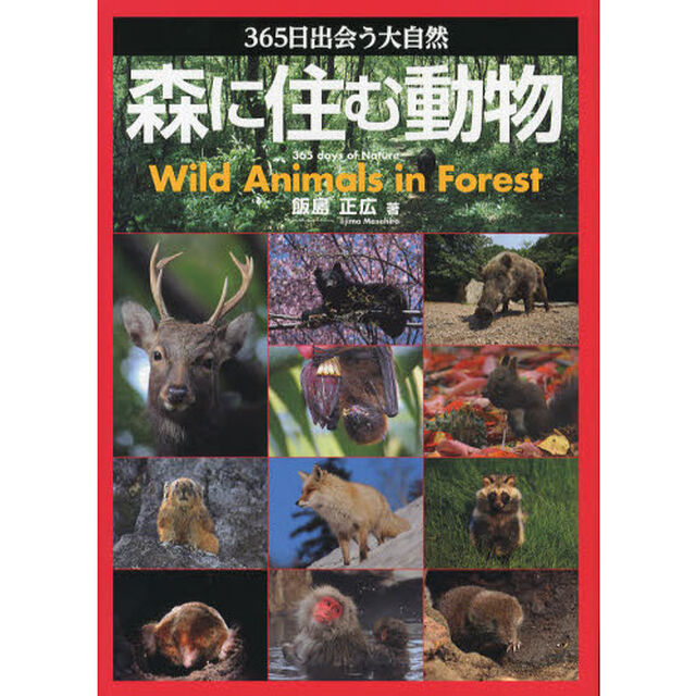 森に住む動物