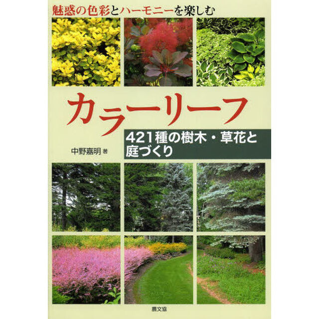 カラーリーフ　４２１種の樹木・草花と庭づくり　魅惑の色彩とハーモニーを楽しむ