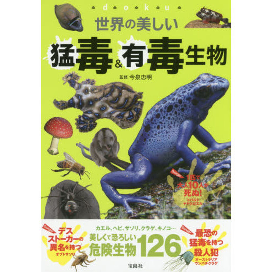 世界の美しい猛毒＆有毒生物