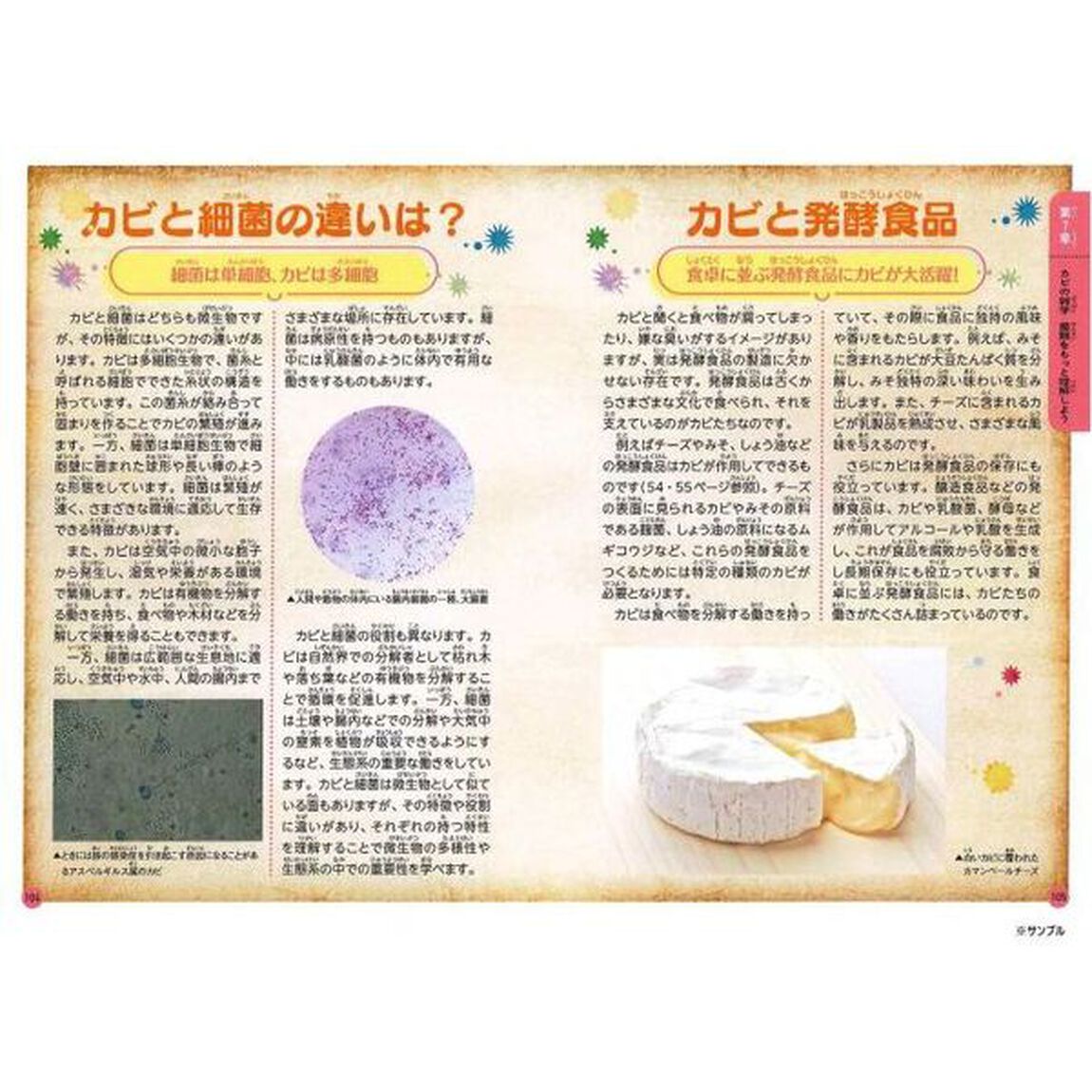 みんなが知りたい！不思議な「カビ」のすべて　身近な微生物のヒミツがわかる