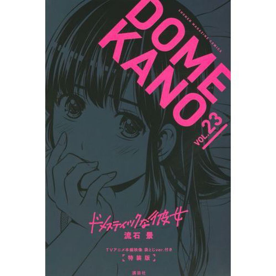 ドメスティックな彼女　　２３　特装版