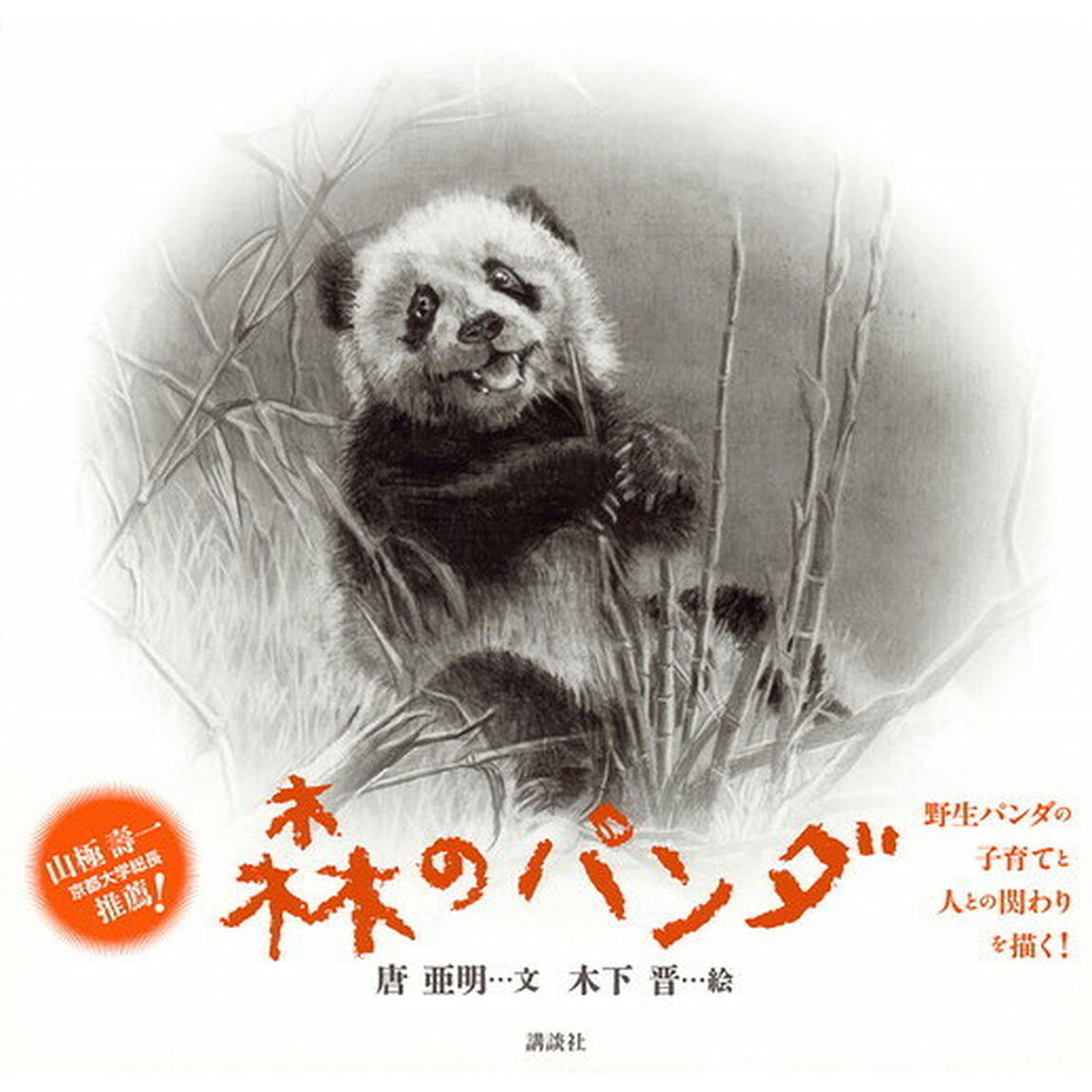 森のパンダ