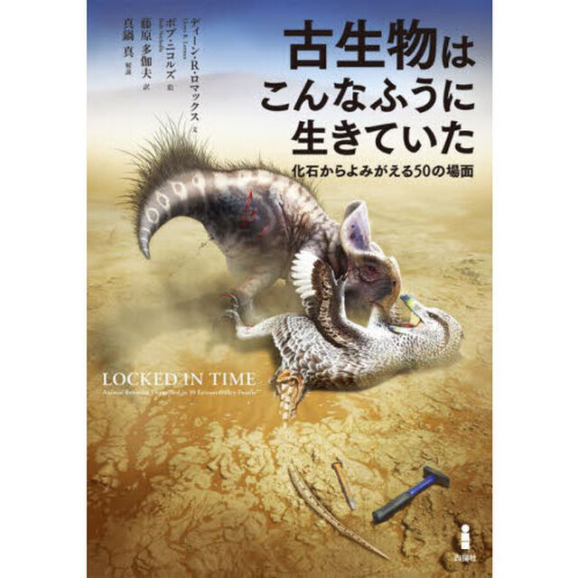 古生物はこんなふうに生きていた　化石からよみがえる５０の場面