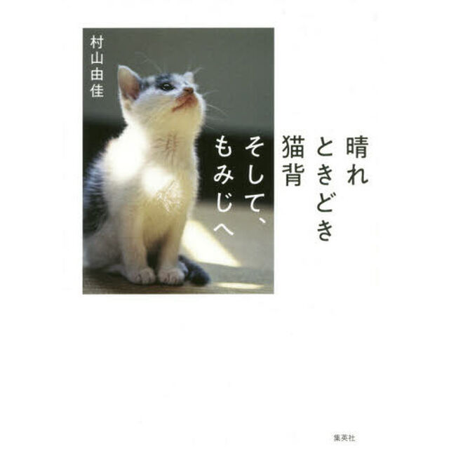 晴れときどき猫背そして、もみじへ