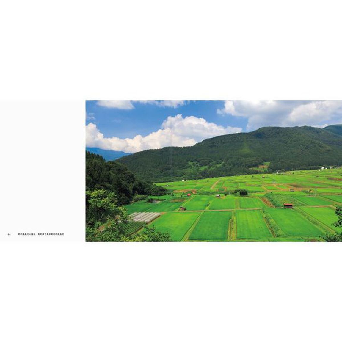 日本の美しい里と花の絶景