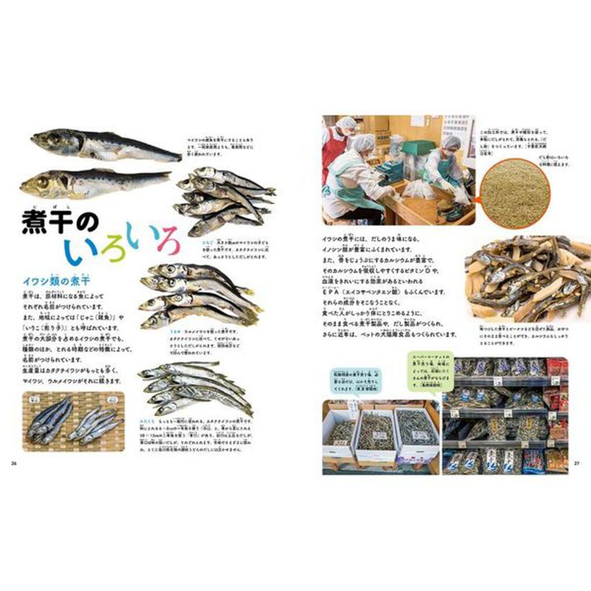 和食のだしは海のめぐみ　３「煮干」
