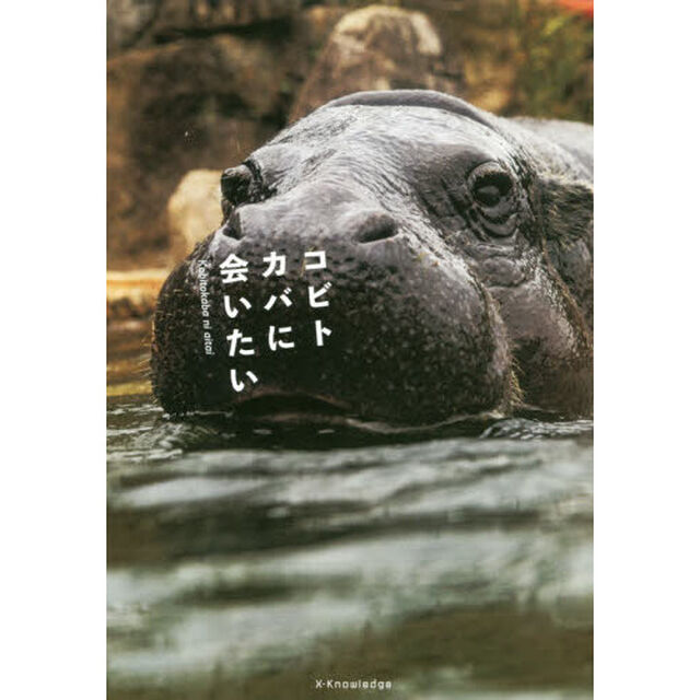 コビトカバに会いたい