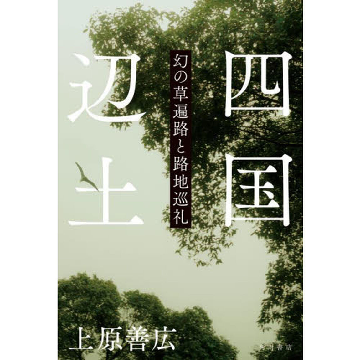 四国辺土　幻の草遍路と路地巡礼