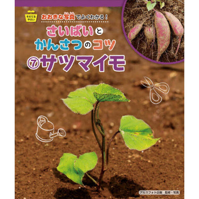 おおきな写真でよくわかる！さいばいとかんさつのコツ　そだてるやさい　７「サツマイモ」