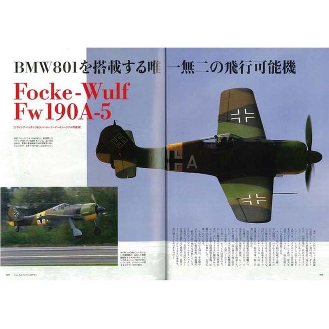 フォッケウルフＦｗ１９０　＆　ＢＭＷ８０１　第二次大戦機ＤＶＤアーカイブ　ドイツ空軍傑作戦闘機＋搭載エンジン徹底解析！