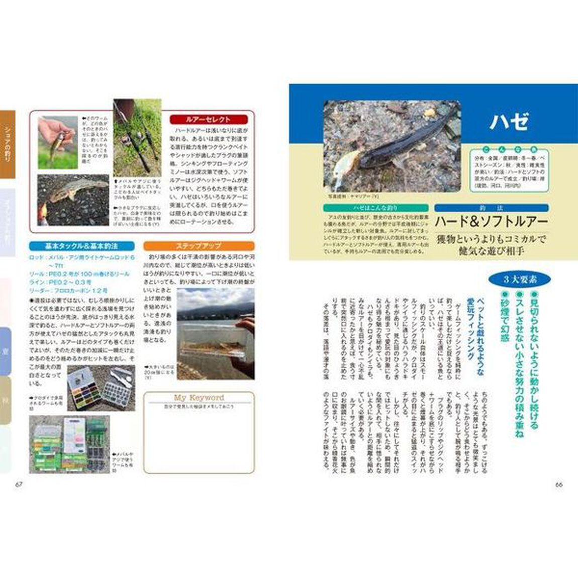 ルアーフィッシングブルーオーシャン戦略　基本を知り、応用を知れば百戦危うからず　マダイ、キジハタ、スジアラなどの新しいターゲットを中心に釣果直結の基本とキモを詳解！