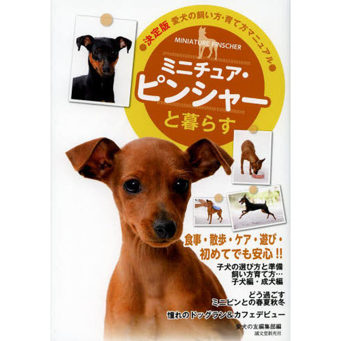 ミニチュア・ピンシャーと暮らす