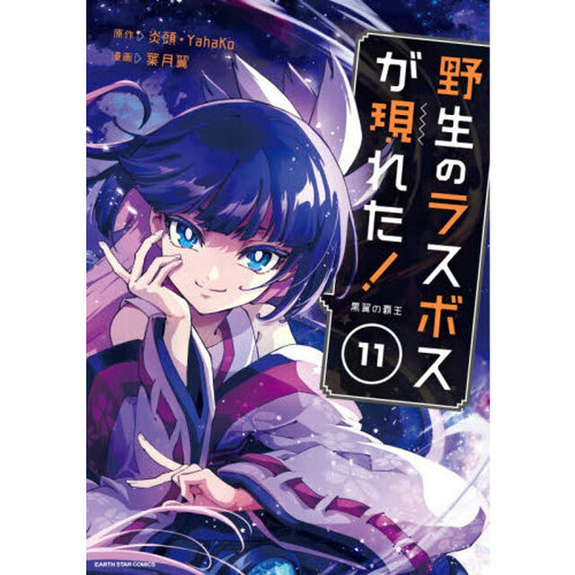 野生のラスボスが現れた！　黒翼の覇王　１１