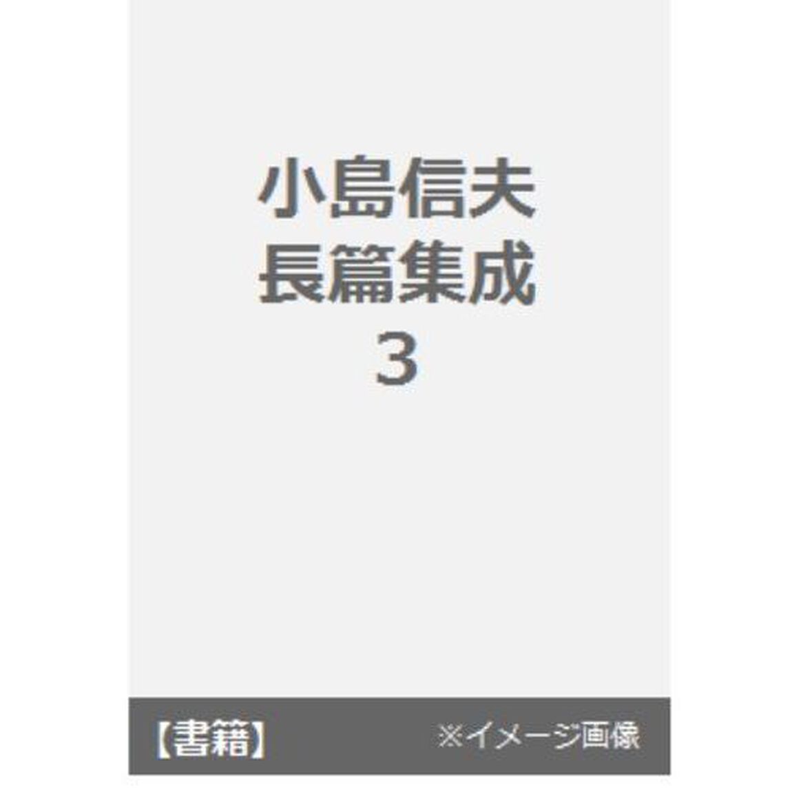 小島信夫長篇集成　３「抱擁家族／美濃」