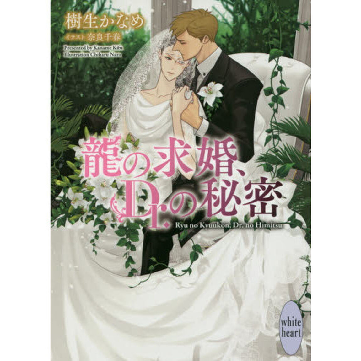 龍の求婚、Ｄｒ．の秘密