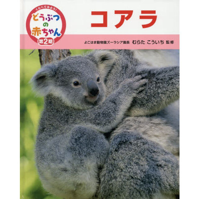 くらべてみよう！どうぶつの赤ちゃん　１２「コアラ」