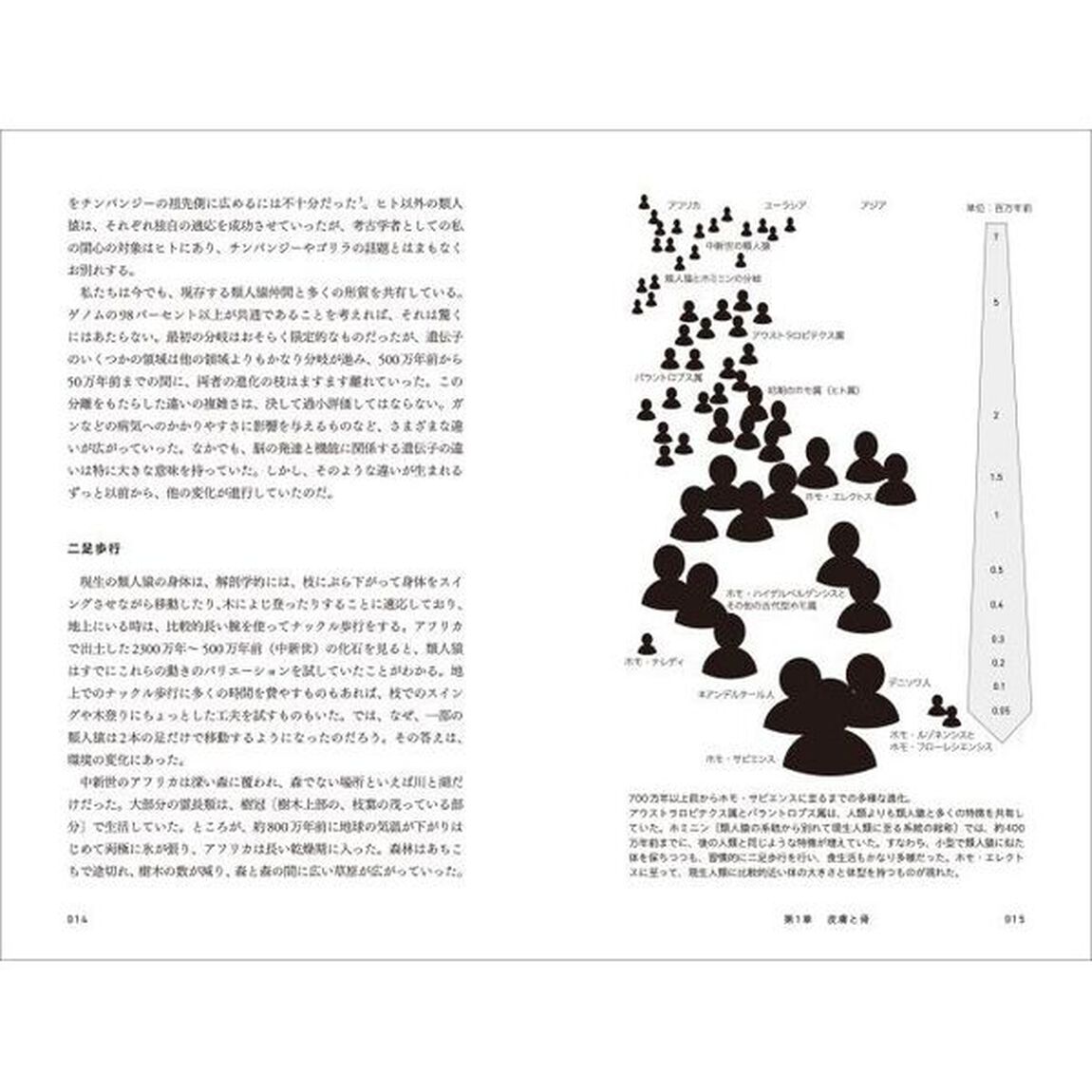 ホモ・サピエンス再発見　科学が書き換えた人類の進化