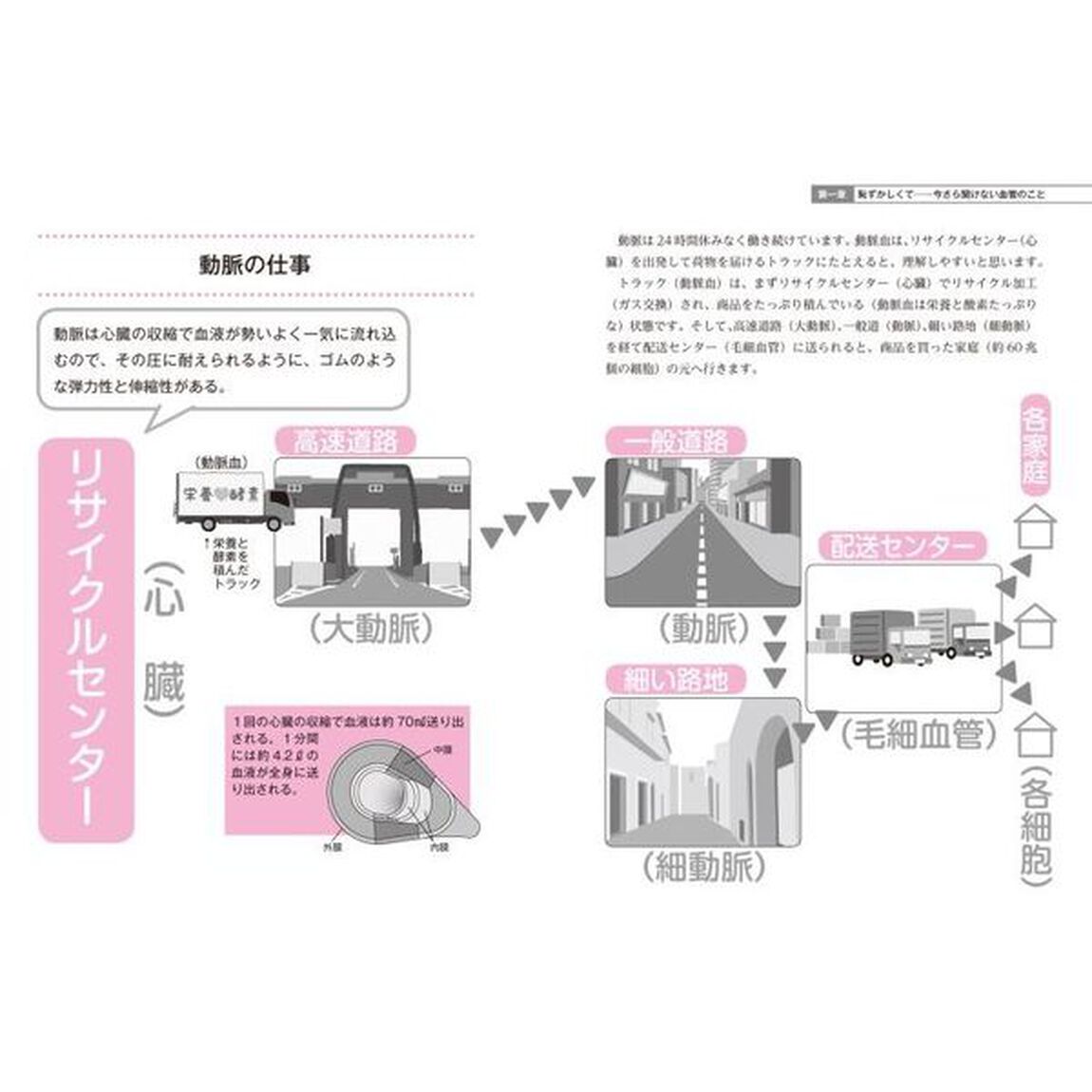 逆転発想から生まれたシン・リンパドレナージュ　超図解！「イメージング解剖生理学」　リンパは流れる！セルライトは消える！