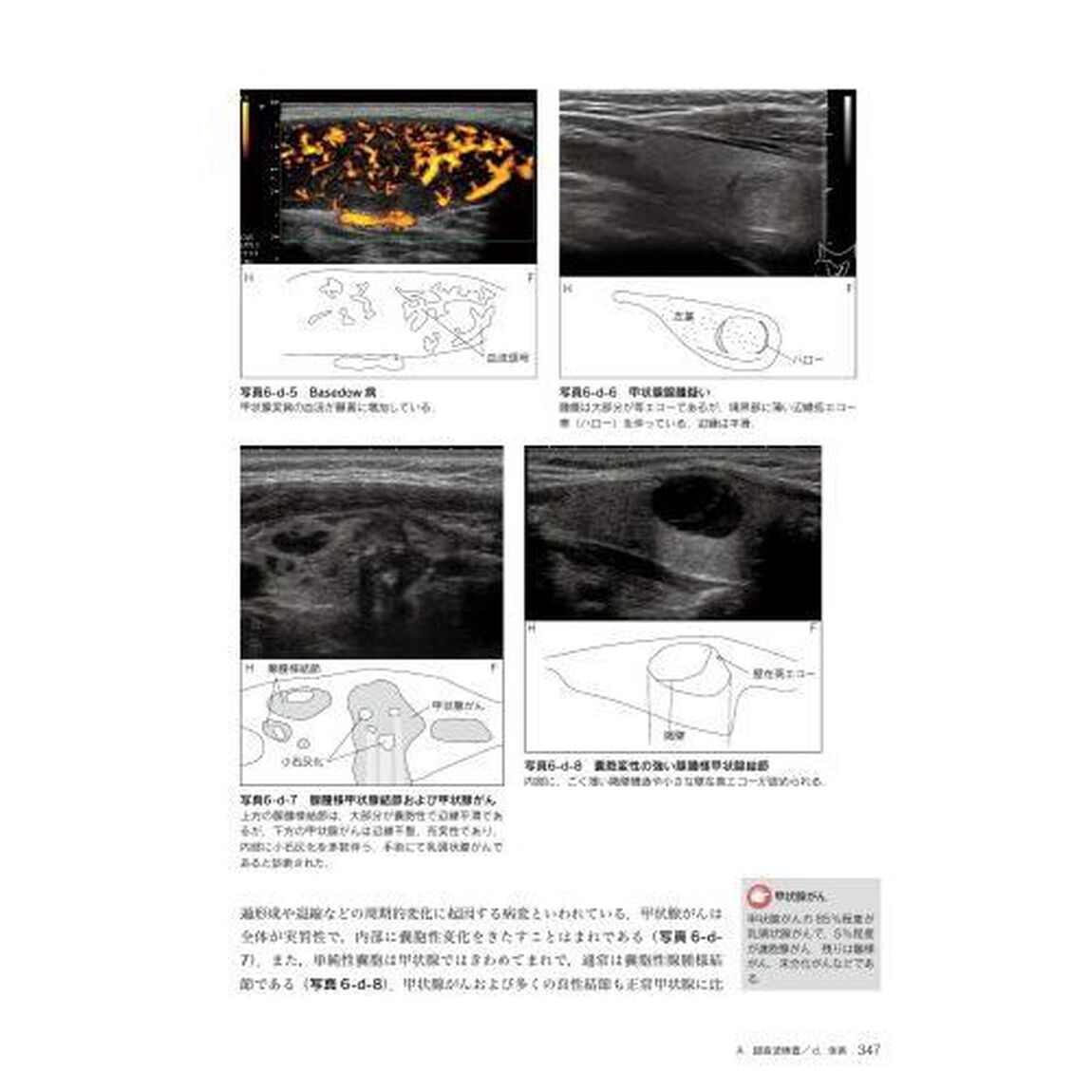 生理機能検査学「第２版」