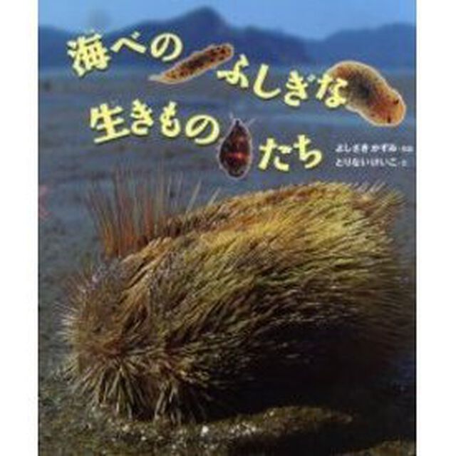 海べのふしぎな生きものたち