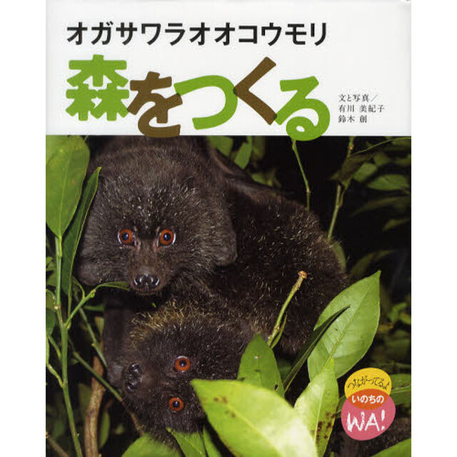 オガサワラオオコウモリ森をつくる