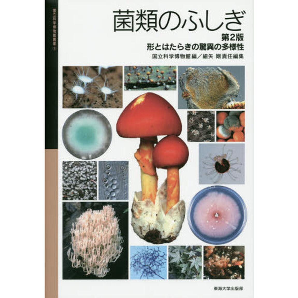 菌類のふしぎ　形とはたらきの驚異の多様性「第２版」