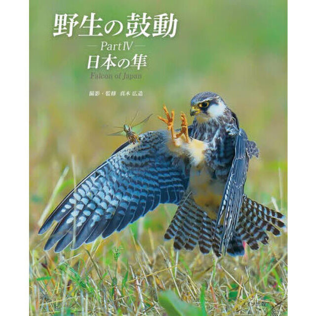 野生の鼓動　Ｐａｒｔ４「日本の隼」
