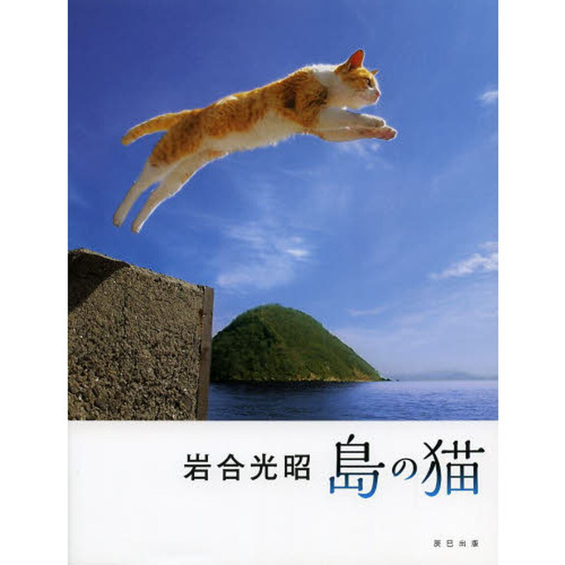 島の猫