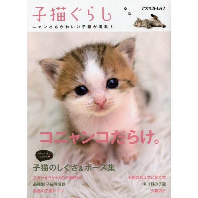 子猫ぐらし　コニャンコだらけ。　●子猫のしぐさ＆ポーズ集●子猫の迎え方と育て方／ほか