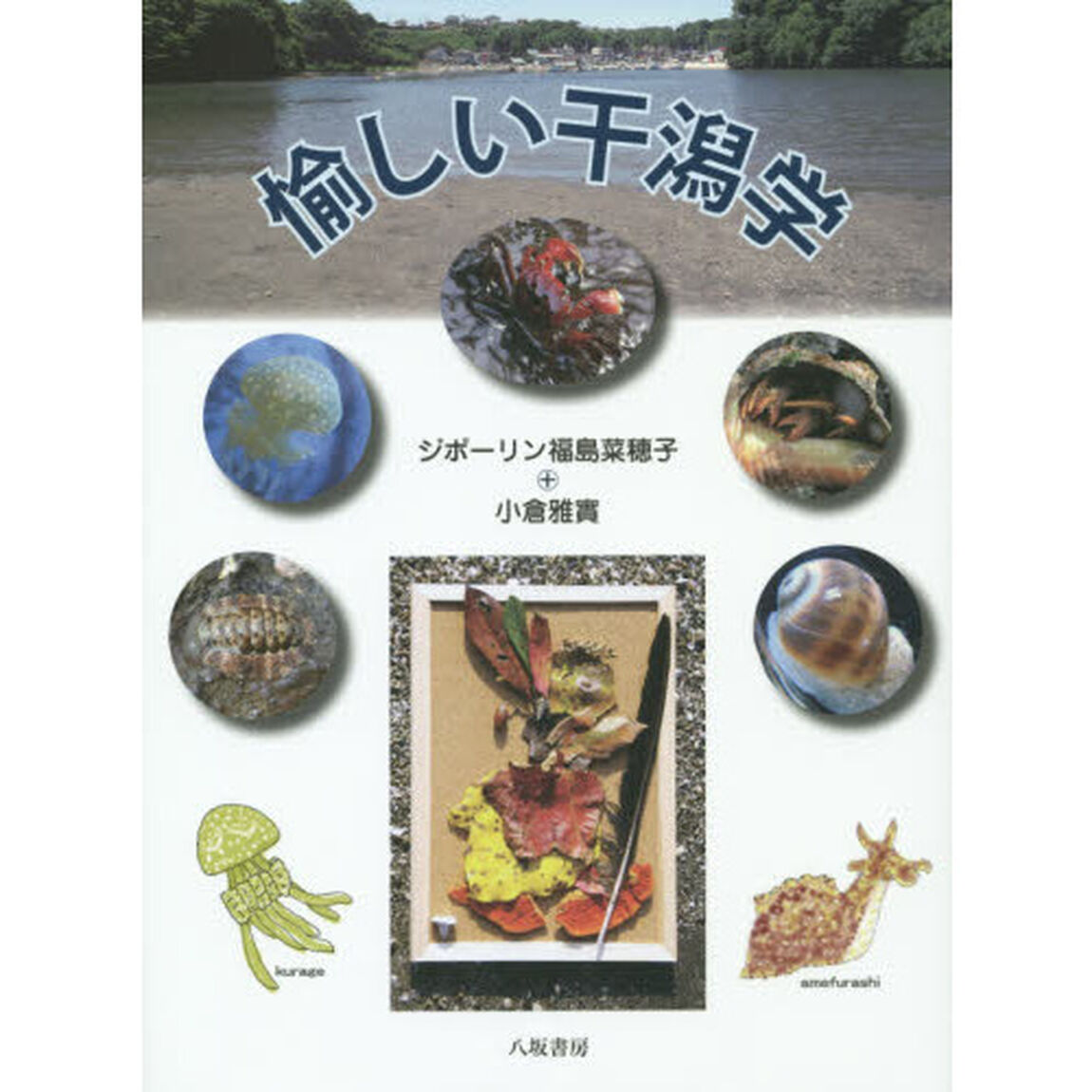 愉しい干潟学