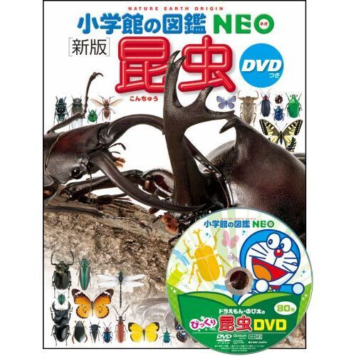 小学館の図鑑NEO〔新版〕 昆虫 DVDつき - 通販｜セブンネットショッピング