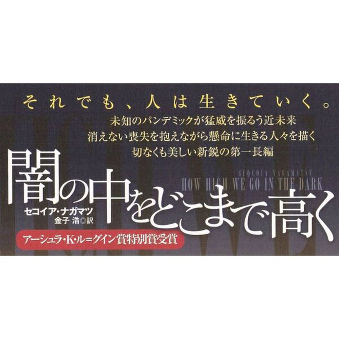 闇の中をどこまで高く
