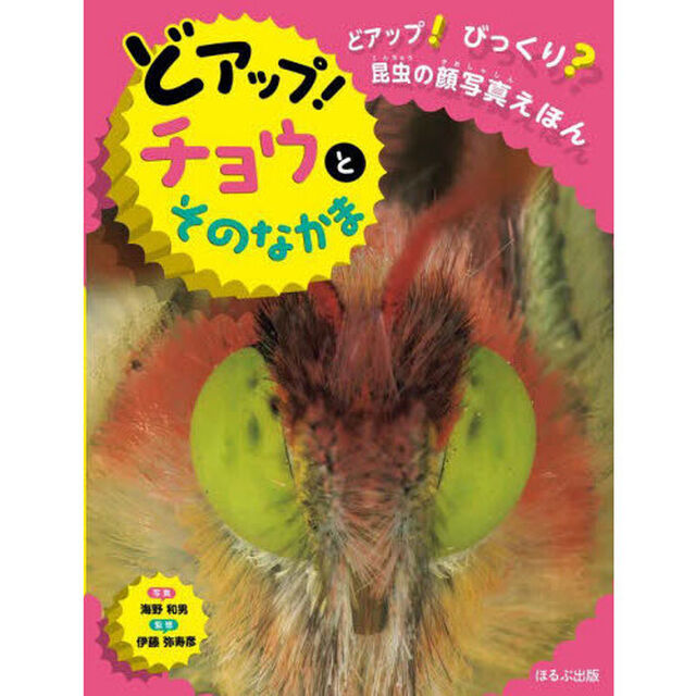どアップ！びっくり？昆虫の顔写真えほん　〔２〕「どアップ！チョウとそのなかま」
