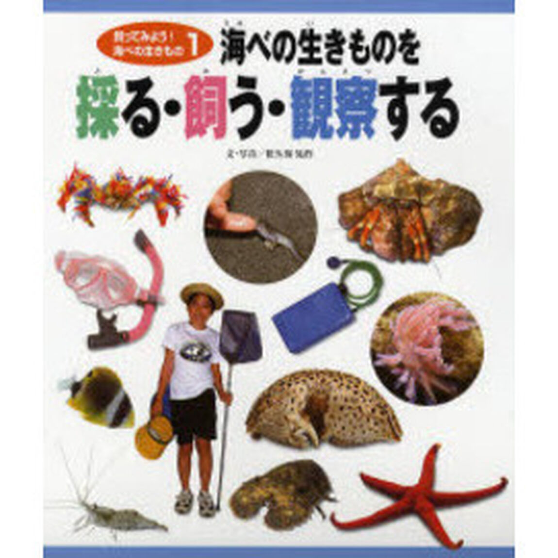 飼ってみよう！海べの生きもの　１「海べの生きものを採る・飼う・観察する」