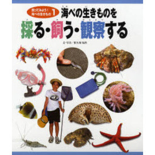 飼ってみよう！海べの生きもの　１「海べの生きものを採る・飼う・観察する」